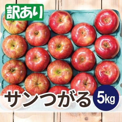 【25年8月より順次発送】平均糖度12度以上! サンつがる 約5kg 訳あり クール便