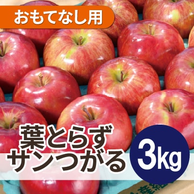 【2025年9月発送予定】平均糖度12度以上! 葉とらずサンつがる 約3kg おもてなし用 クール便
