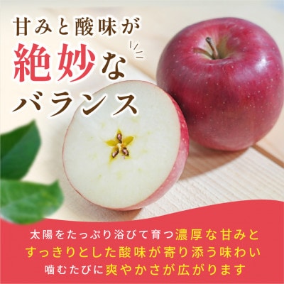 【2026年9月発送予定】平均糖度12度以上! 葉とらずサンつがる 約3kg おもてなし用 クール便