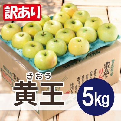 【25年8月より順次発送】平均糖度12度以上! 黄王 約5kg 訳あり クール便