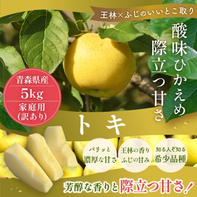 【10月から発送予定】訳あり 青森りんご トキ 約5kg 王林とふじの良いところどり