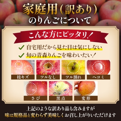 【10月から発送予定】訳あり 青森りんご トキ 約5kg 王林とふじの良いところどり