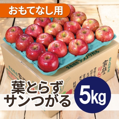 【2026年9月発送予定】平均糖度12度以上!葉とらずサンつがる 約5kg おもてなし用 クール便