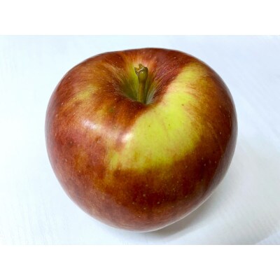 【2025年9月発送予定】平均糖度12度以上!葉とらずサンつがる 約5kg おもてなし用 クール便