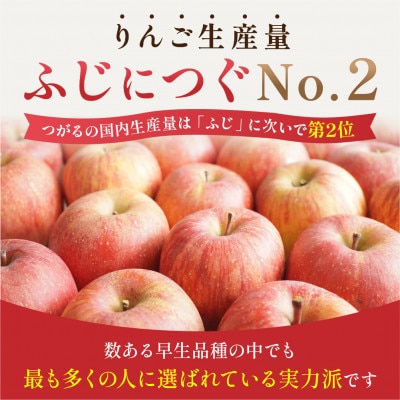 【2026年9月発送予定】平均糖度12度以上! 葉とらずサンつがる 約5kg 訳あり クール便