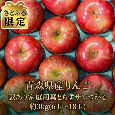 【2026年9月より発送予定】平均糖度12度以上!葉とらずサンつがる約3kg 訳あり【さとふる限定】