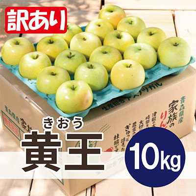 【2025年9月発送予定】平均糖度12度以上! 黄王 約10kg 訳あり クール便