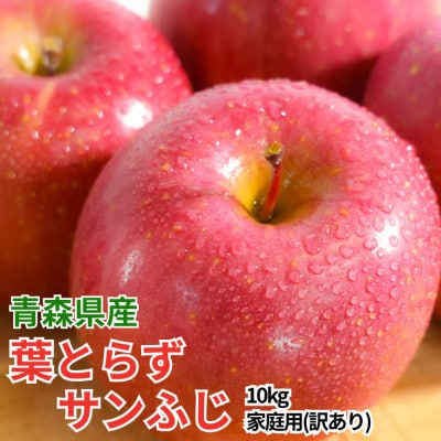 【26年11月～翌年3月発送予定】平均糖度13度以上! 葉とらずサンふじ 約10kg 訳あり