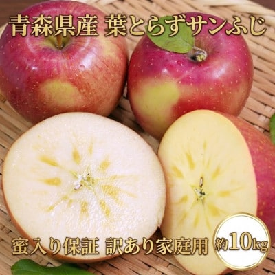 【26年11月～12月発送予定】平均糖度13度以上! 葉とらずサンふじ 約10kg 訳あり 蜜保証
