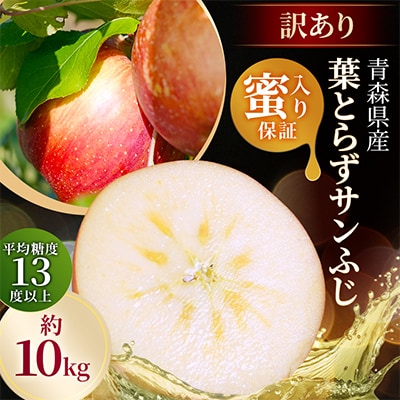 【26年11月～12月発送予定】平均糖度13度以上!  蜜入り 葉とらずサンふじ 約10kg 訳あり