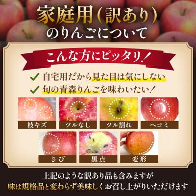 【26年11月～12月発送予定】平均糖度13度以上!  蜜入り 葉とらずサンふじ 約10kg 訳あり