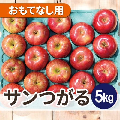 【25年8月より順次発送】平均糖度12度以上! サンつがる 約5kg おもてなし用 クール便