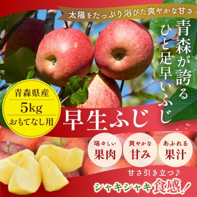 【2026年10月から順次発送予定】平均糖度12度以上! 早生ふじ 約5kg おもてなし用