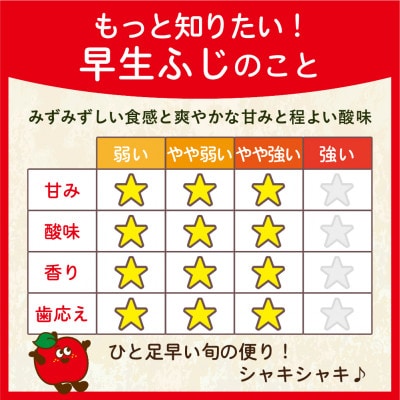 【26年10月から順次発送】平均糖度12度以上! 早生ふじ 約5kg 訳あり ひと足早いふじりんご