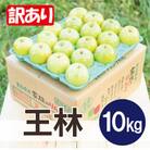 平均糖度13度以上! 王林 約10kg 訳あり CA貯蔵 クール便