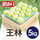 【26年5月より順次発送】平均糖度13度以上! 王林 約5kg 訳あり CA貯蔵 クール便
