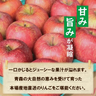 【25年11月より順次発送】平均糖度13度以上! サンふじ 約10kg 訳あり