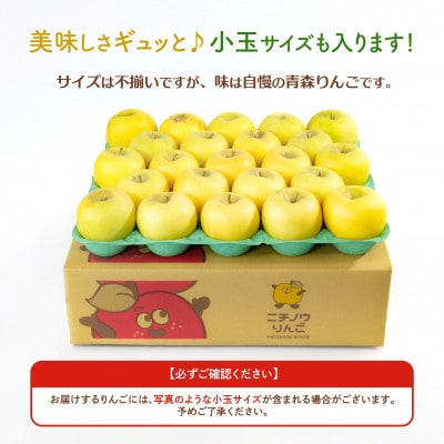 【26年11月より順次発送】平均糖度13度以上! シナノゴールド 約10kg 訳あり　青森 りんご