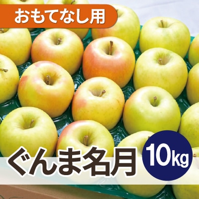 【25年11月より順次発送】平均糖度13度以上! ぐんま名月 約10kg おもてなし用