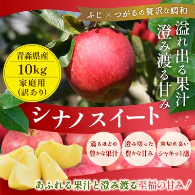 【26年11月より順次発送】平均糖度13度以上! シナノスイート 約10kg 訳あり 青森りんご