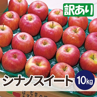 【26年3月より順次発送】平均糖度13度以上! シナノスイート 約10kg 訳あり