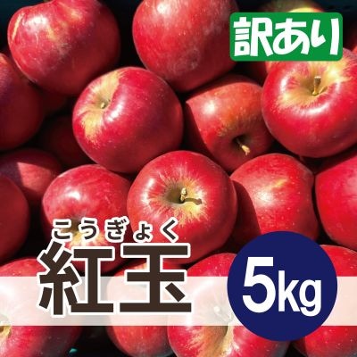【26年1月出荷予定】 紅玉 約5kg 訳あり
