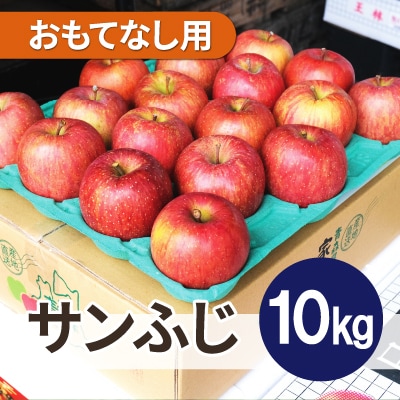 【25年12月出荷予定】平均糖度13度以上! サンふじ 約10kg おもてなし用
