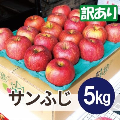 【25年12月出荷予定】平均糖度13度以上! サンふじ 約5kg 訳あり