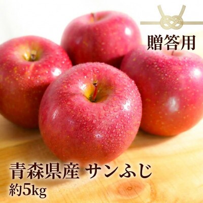 【26年11月～翌年1月まで出荷予定】平均糖度13度以上! サンふじ 約5kg 贈答用　青森りんご