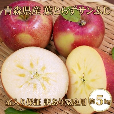 【26年11月から発送】平均糖度13度以上! 蜜入り 葉とらずサンふじ 約5kg 訳あり 青森りんご