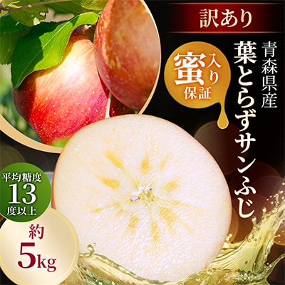 【26年11月から発送】平均糖度13度以上! 蜜入り 葉とらずサンふじ 約5kg 訳あり 青森りんご