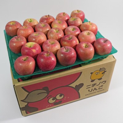 【26年11月～12月発送】平均糖度13度以上! 蜜入り 葉とらずサンふじ 約10kg おもてなし用