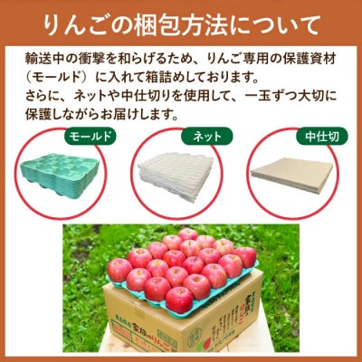 【26年11月～12月発送】平均糖度13度以上! 蜜入り 葉とらずサンふじ 約10kg おもてなし用