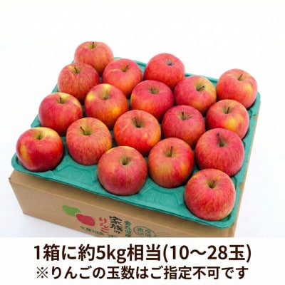【26年11月～12月発送】平均糖度13度以上! 蜜入り 葉とらずサンふじ 約5kg おもてなし用