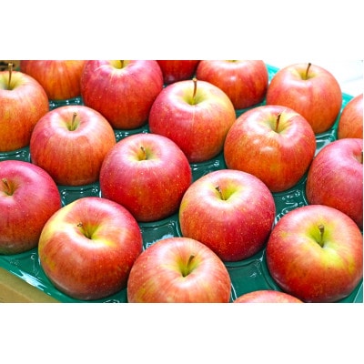 【25年12月出荷予定】平均糖度13度以上! シナノスイート 約10kg 訳あり
