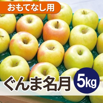 【26年2月出荷予定】平均糖度13度以上! ぐんま名月 約5kg おもてなし用