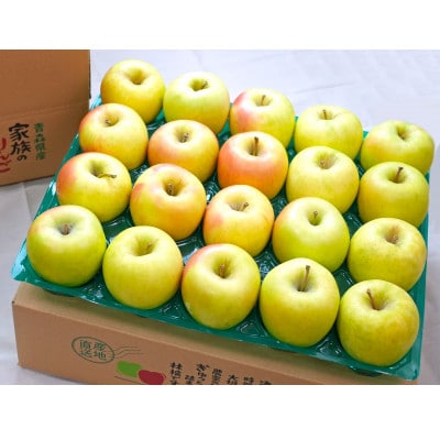 【27年2月出荷予定】平均糖度13度以上! ぐんま名月 約5kg おもてなし用