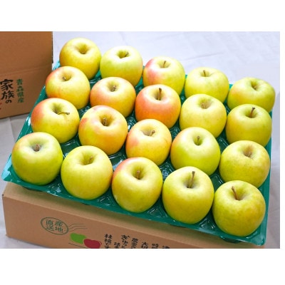 【27年1月出荷予定】平均糖度13度以上! ぐんま名月 約5kg おもてなし用