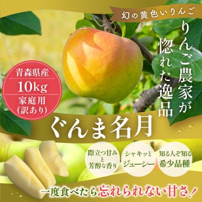 【26年11月~翌年3月出荷】平均糖度13度以上! ぐんま名月 約10kg 訳あり りんご 青森県産