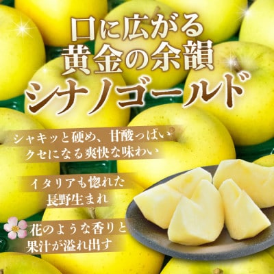 【26年11月から順次発送】平均糖度13度以上! シナノゴールド 約5kg おもてなし用 青森りんご