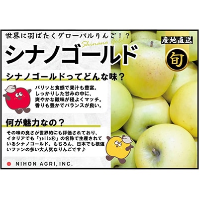 【26年1月出荷予定】平均糖度13度以上! シナノゴールド 約10kg おもてなし用