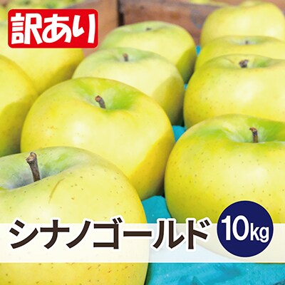 【26年1月出荷予定】平均糖度13度以上! シナノゴールド 約10kg 訳あり