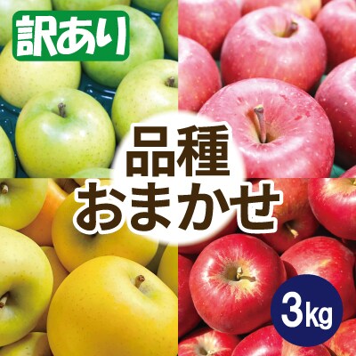 【26年3月出荷予定】りんご 品種おまかせ 約3kg 訳あり