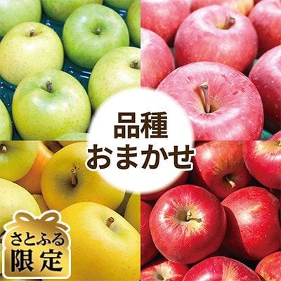 【さとふる限定】りんご 品種おまかせ 約3kg 訳あり クール便