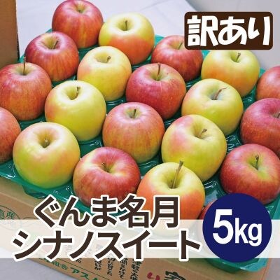 【26年2月出荷予定】糖度13度以上保証! ぐんま名月×シナノスイート 約5kg 訳あり