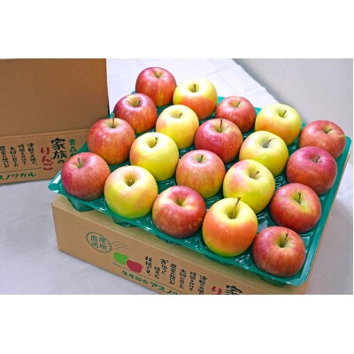 【25年12月出荷予定】糖度13度以上保証! ぐんま名月×シナノスイート 約5kg 訳あり