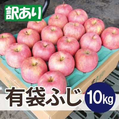 【26年4月出荷予定】平均糖度13度以上! 有袋ふじ 約10kg 訳あり CA貯蔵 クール便