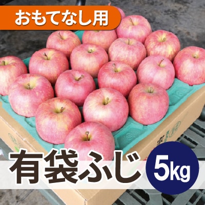 【26年4月出荷予定】平均糖度13度以上! 有袋ふじ 約5kg おもてなし用 CA貯蔵 クール便