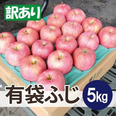 【26年5月出荷予定】平均糖度13度以上! 有袋ふじ 約5kg 訳あり CA貯蔵 クール便
