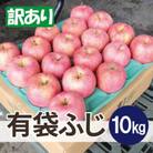 【26年6月出荷予定】平均糖度13度以上! 有袋ふじ 約10kg 訳あり CA貯蔵 クール便